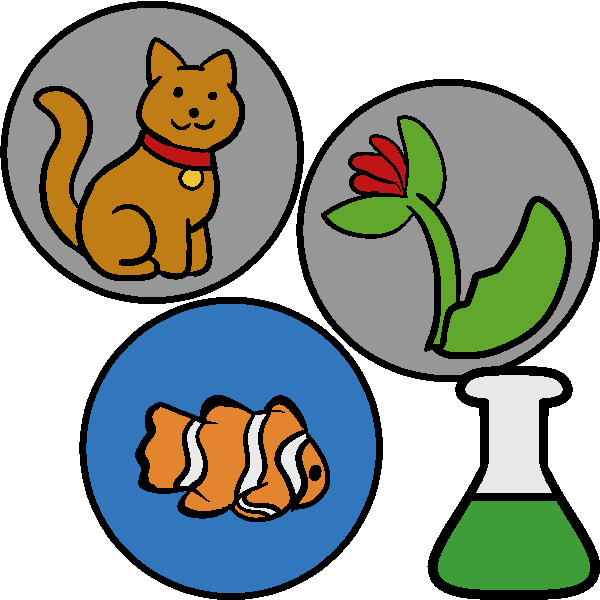 Three circles, one with a cat, the other with a red flower, and one with a clownfish, with a green beaker in the corner.